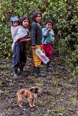 Quechua Kids