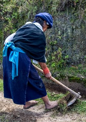 Community Project