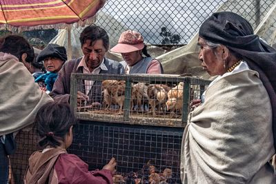 Chick Market