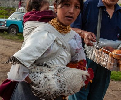 Ecuador