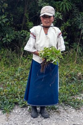 Ecuador