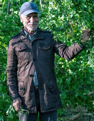The Farmer, raising apricots, saffron and roses on his farm in Fars.