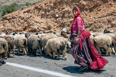 Qashqai Shepherdess