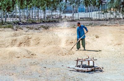 Winnowing the Wheat