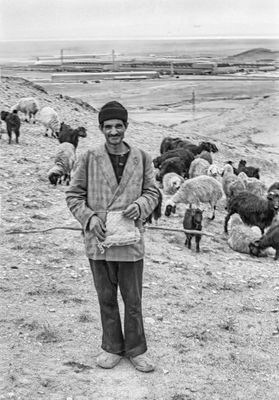 The Shepherd