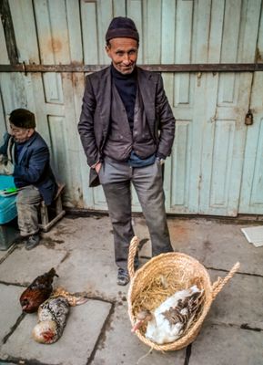 Poultry For Sale
