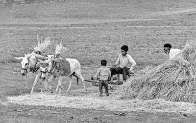 Threshing