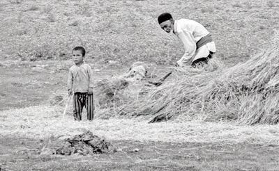 Helping Grandpa