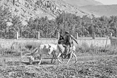 Country Ride