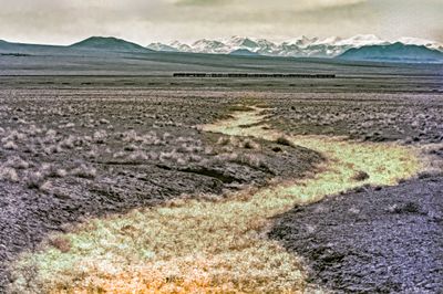 The Wadi and the Train