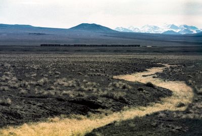 The Wadi and the Train