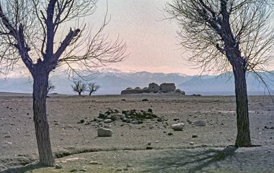 g13/04/318004/3/175721561.32dbde5d.JPEG