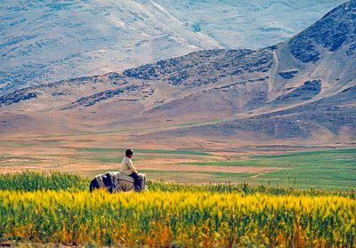 Young Farmer