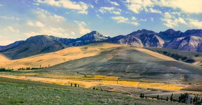 Iranian Grain Fields