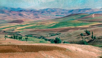 Iranian Agriculture