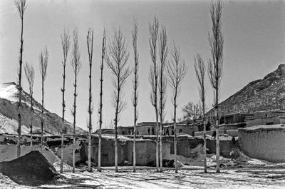 Rural Village