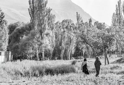 A Country Walk