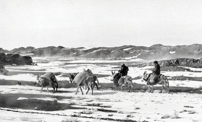 A Snowy Journey