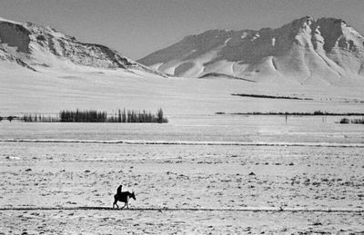 A Lonely Ride 