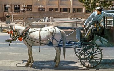 Carriage Ride