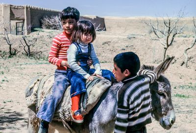 Donkey Ride