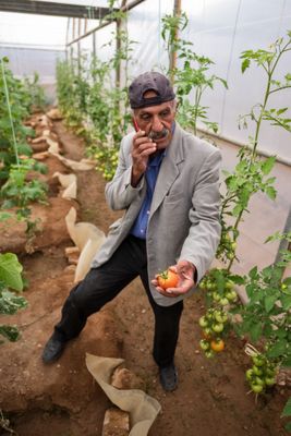 Cucumber Farmer