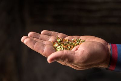 Spices for the Bread