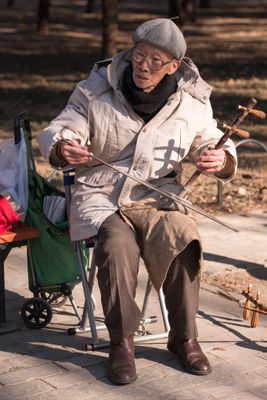 Erhu