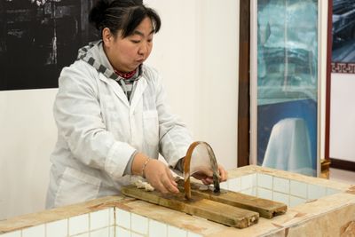 Silk Manufacturing