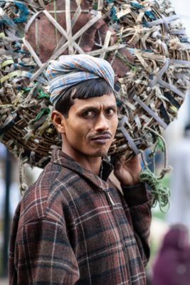 Vegetable Market