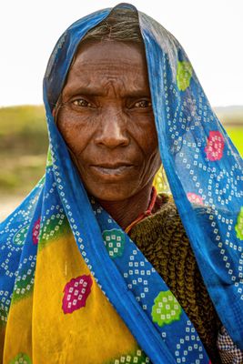 Farm Woman