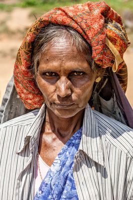 Solemn Tea Picker
