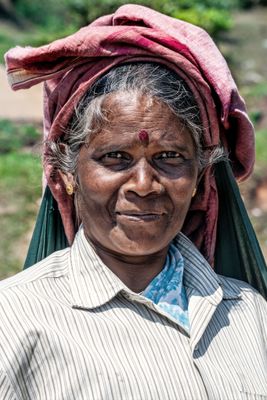 Tea Picker