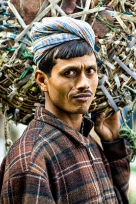 Day Laborer