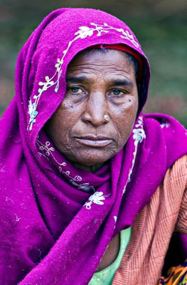Vegetable Vendor