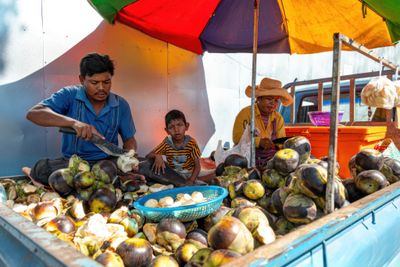 Coconuts for Sale