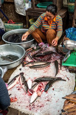 Cleaning Fish