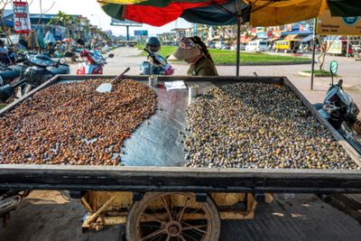 Nuts