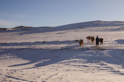 Gobi Desert