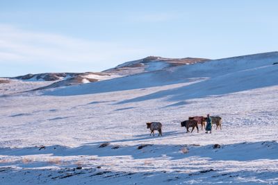 Gobi Desert