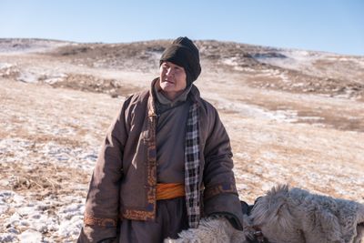 Mongolian Sheep Herders
