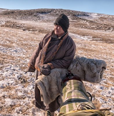 Mongolian Sheep Herders