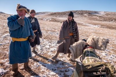 Mongolian Sheep Herders