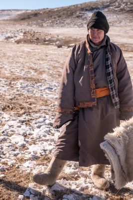 Mongolian Sheep Herders