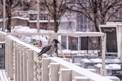 g13/04/318004/3/175753414.a2c7095b.JPEG
