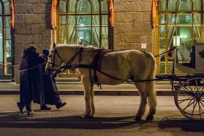 Night Scenes in St. Petersburg