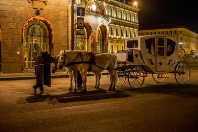 Night Scenes in St. Petersburg