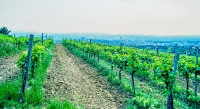 50401_00101-Edit.jpg