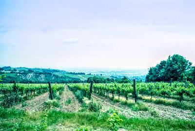 50401_00102-Edit.jpg