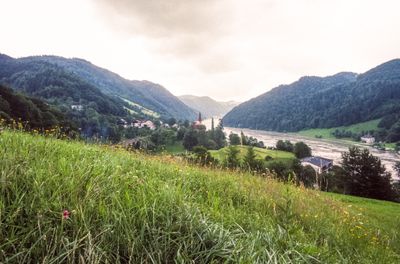 50471_00212.jpg